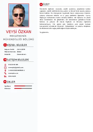Mekatronik Mühendisliği Cv Örnekleri cv indir